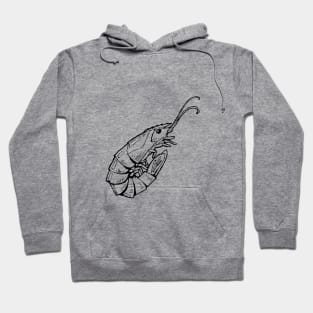 shrimp Hoodie